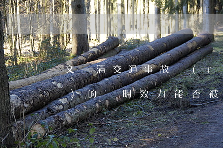一文講清！交通事故認(rèn)定書(shū)的證明效力能否被推翻？（附典型案例）